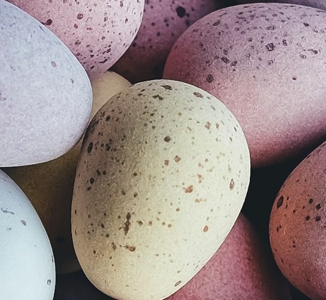 ΚΙΑΚΟΣ ΣΥΣΚΕΥΑΣΙΑ Ε.Π.Ε